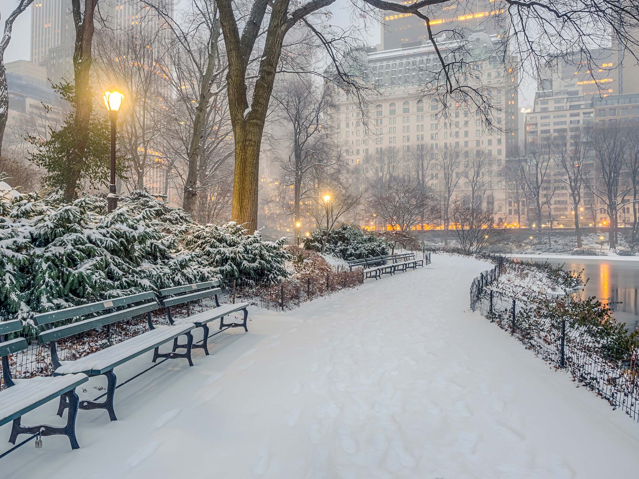 Central Park with snow